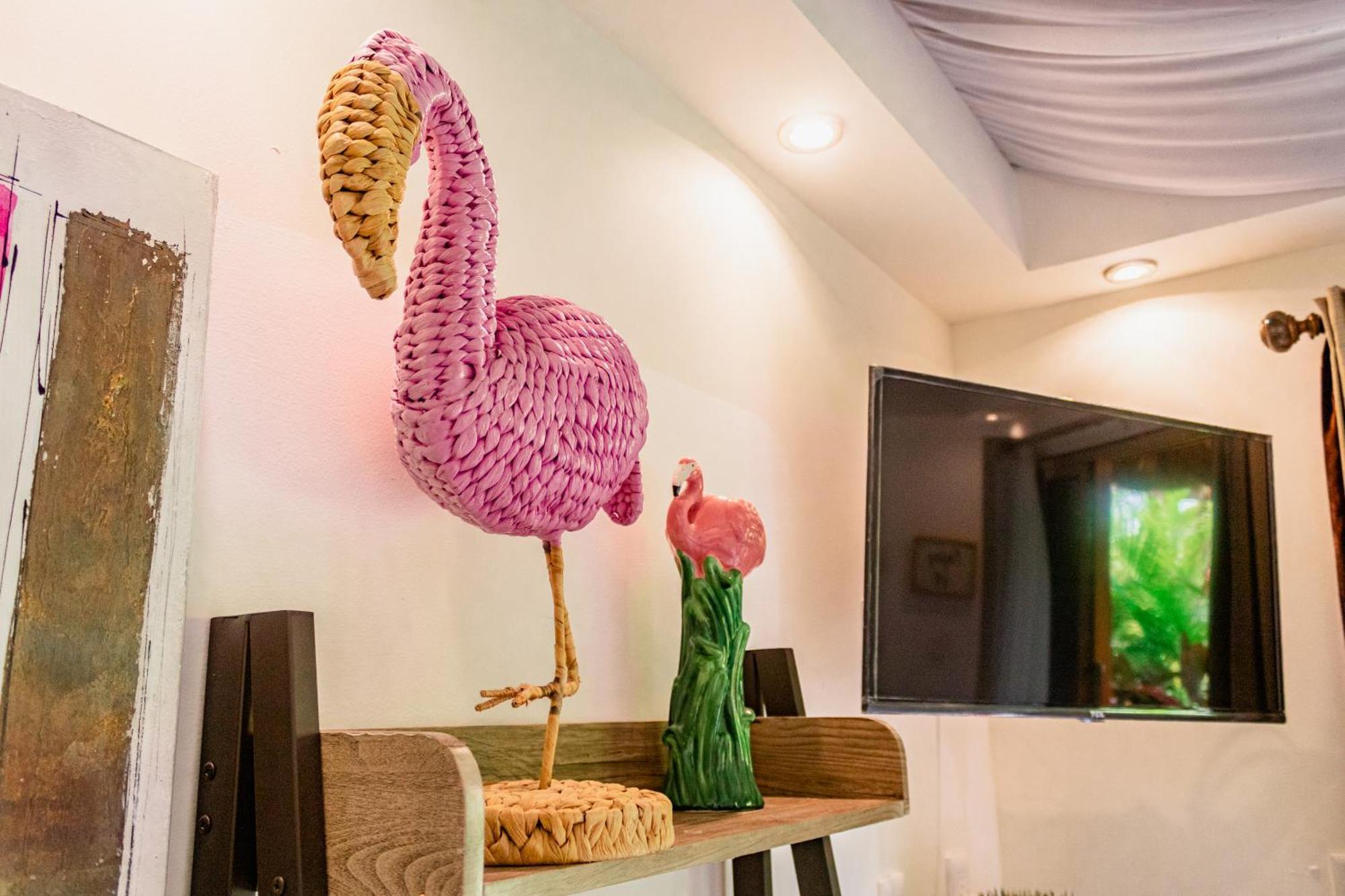 Hotel Blue Bird Bacalar Zimmer foto